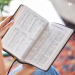 KJV, Personal Size Large Print Reference Bible (Brown)