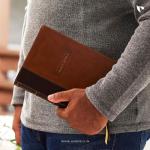KJV Holy Bible (Brown)